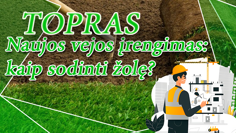 Naujos vejos įrengimas: kaip sodinti žolę?